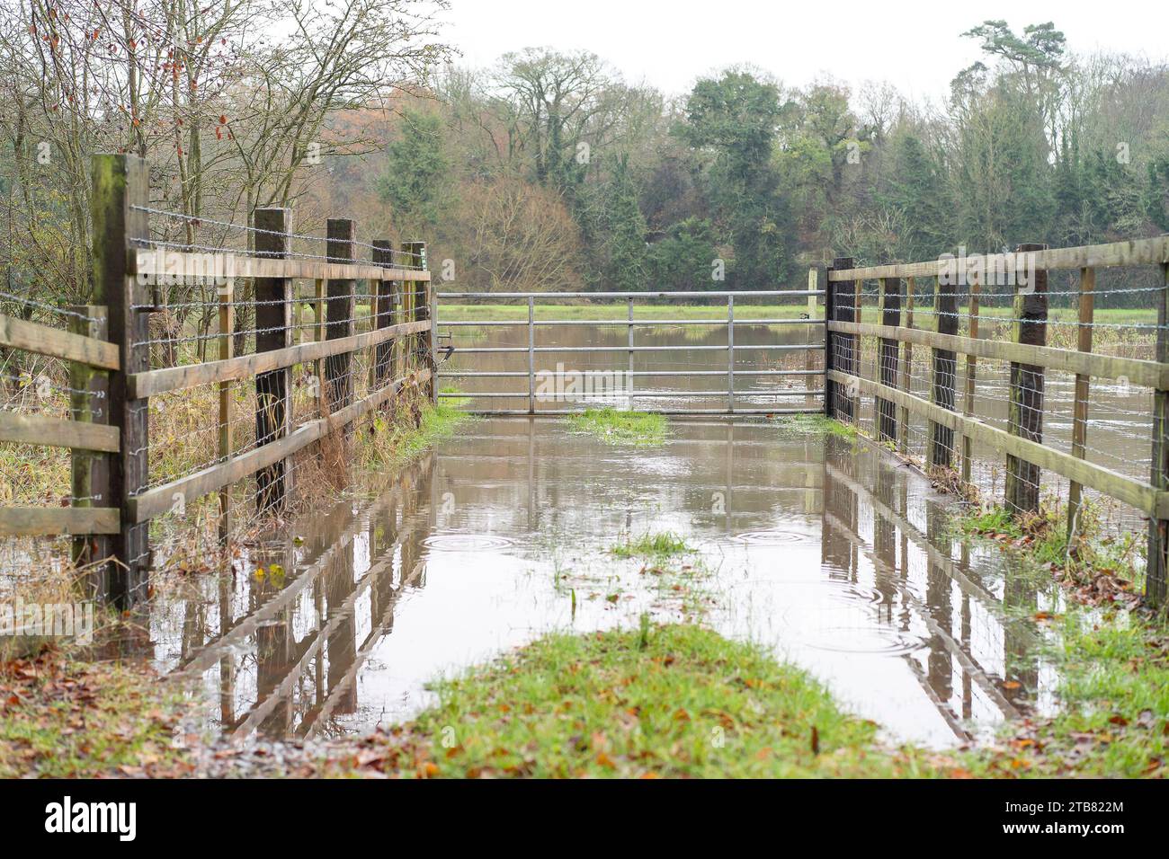 Kidderminster, UK. 5th December, 2023. UK weather two days of almost