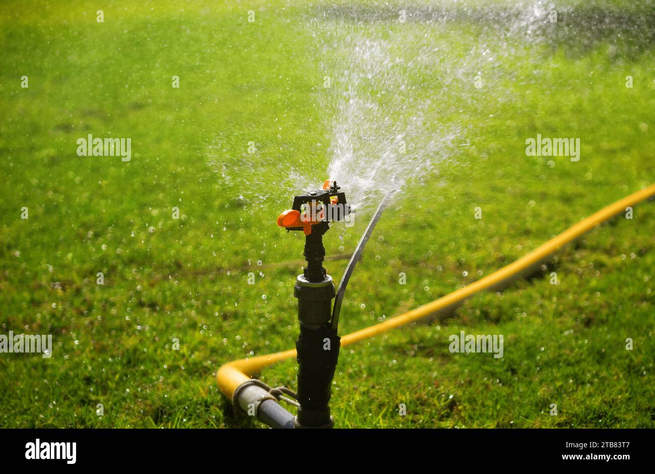 Automatic sprinkler system watering the lawn. Lawn irrigation in the ...