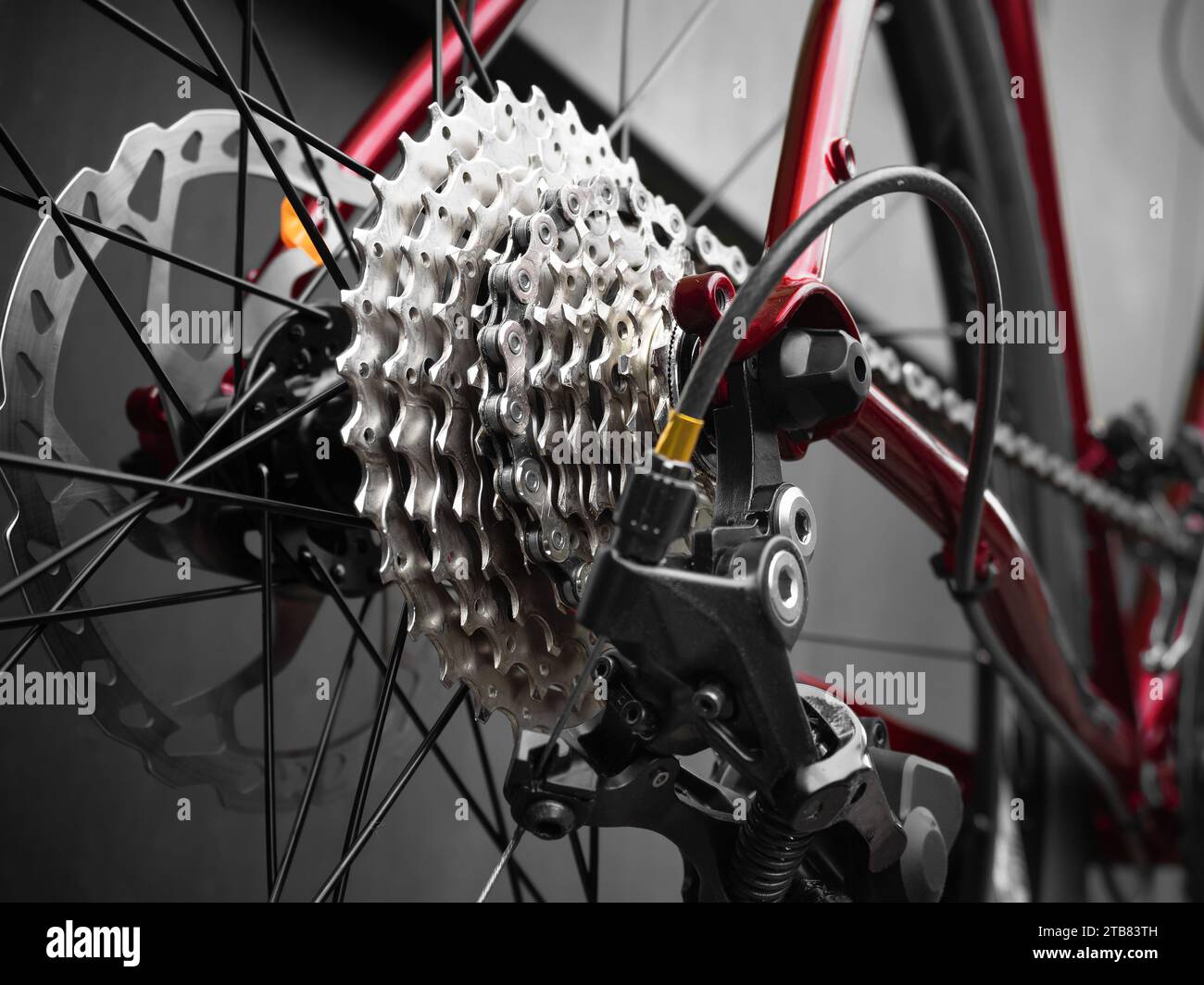 Bicycle transmission and brake system. Low angle view. Modern sport