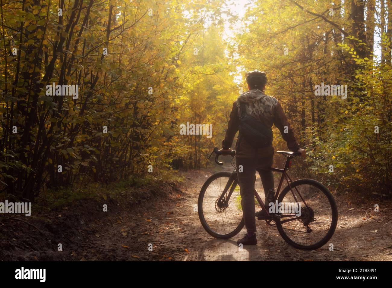 Cyclist rides on a trail in a beautiful autumn forest. Sports and recreation concept. Stock Photo