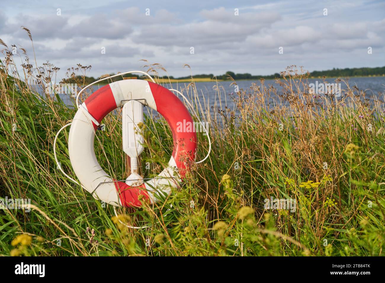 Red lifebuoy as flotation device on waterfront near lake for safety