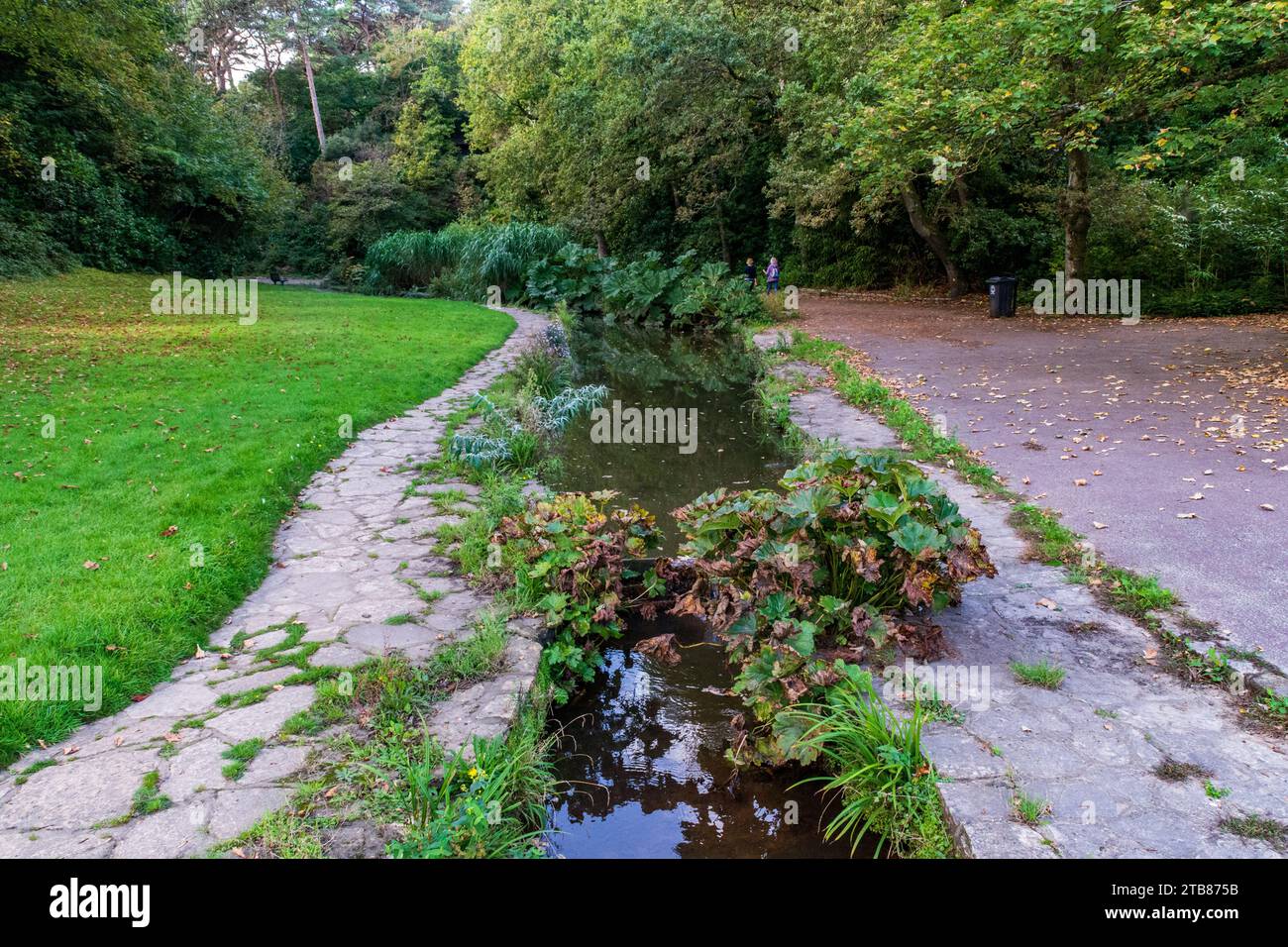 Branksome Chine Gardens, Poole, UK - October 6th 2023: The stream running through the chine. Stock Photo