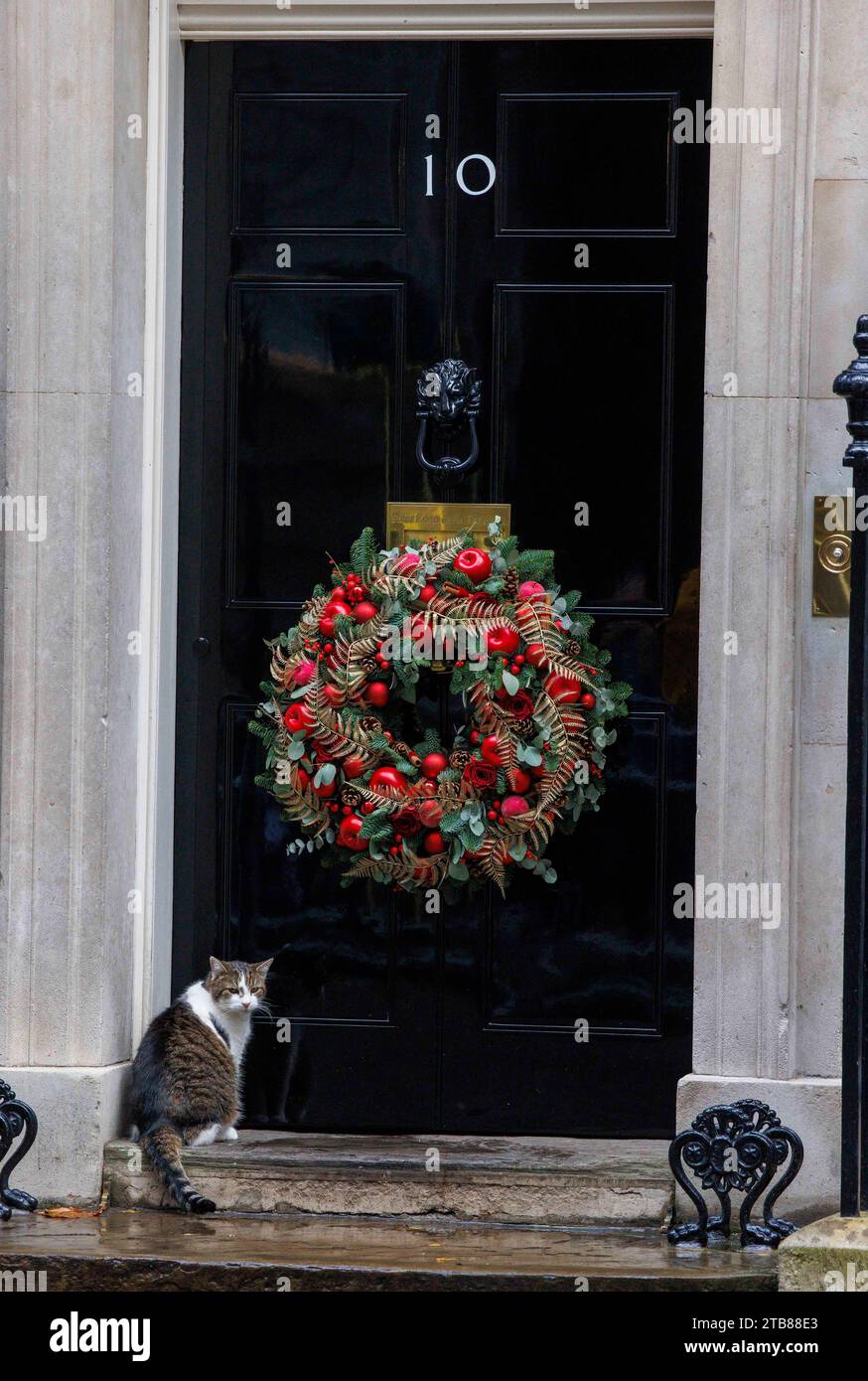 London, UK. 5th Dec, 2023. Larry the Cat, Chief Mouser to The Treasury, at the door of Number 10. Credit: Karl Black/Alamy Live News Stock Photo