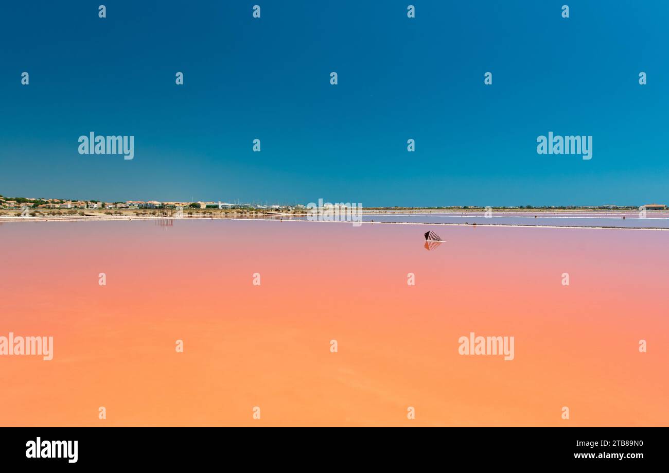 Gruissan (south of France): the salt marshes of St Martin Island, whose pink-red color is due to the presence of halophilic algae Stock Photo