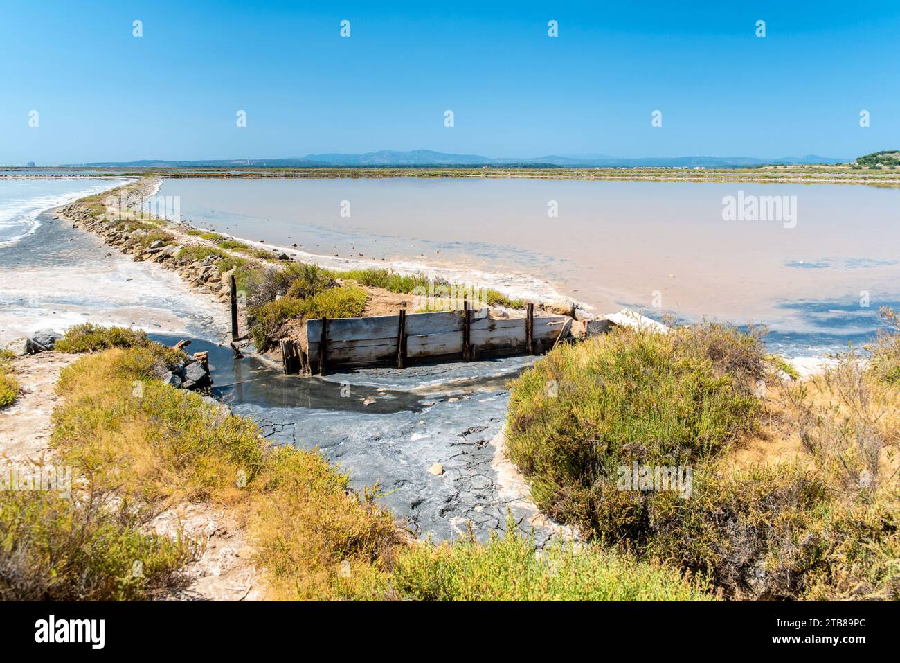 Gruissan (south of France): the salt marshes of St Martin Island Stock Photo