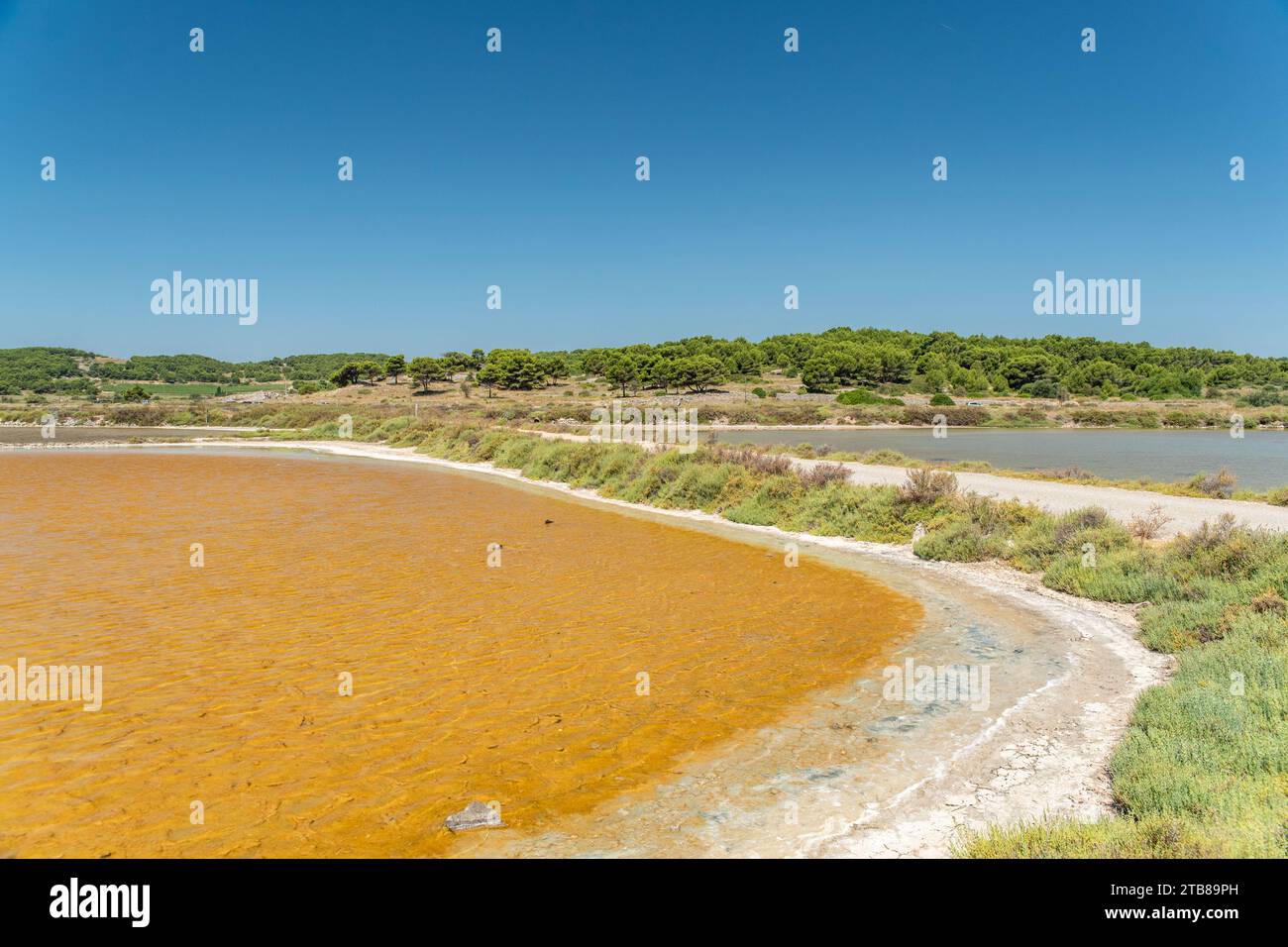 Gruissan (south of France): the salt marshes of St Martin Island Stock Photo
