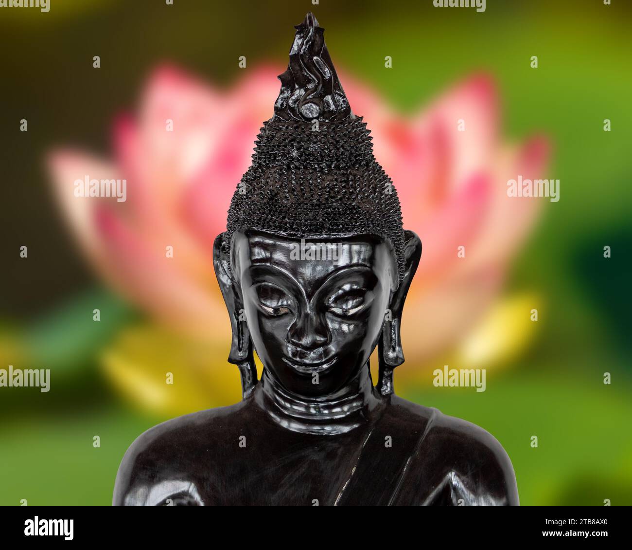 Black Buddha statue on a lotus flower background Stock Photo Alamy