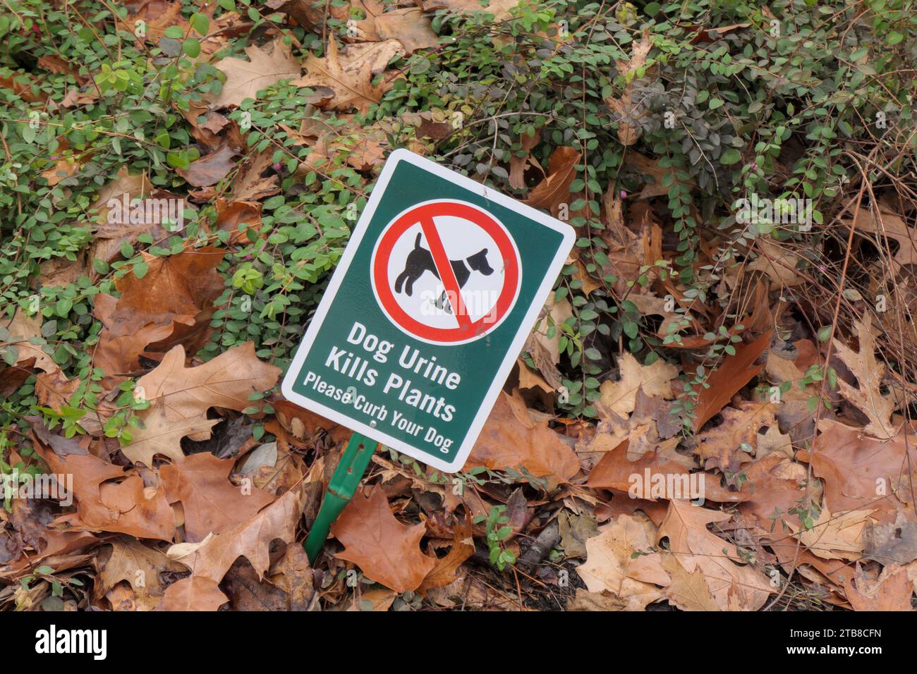 Dog urine kills plants sign in suburban park. Oak Park, Illinois Stock