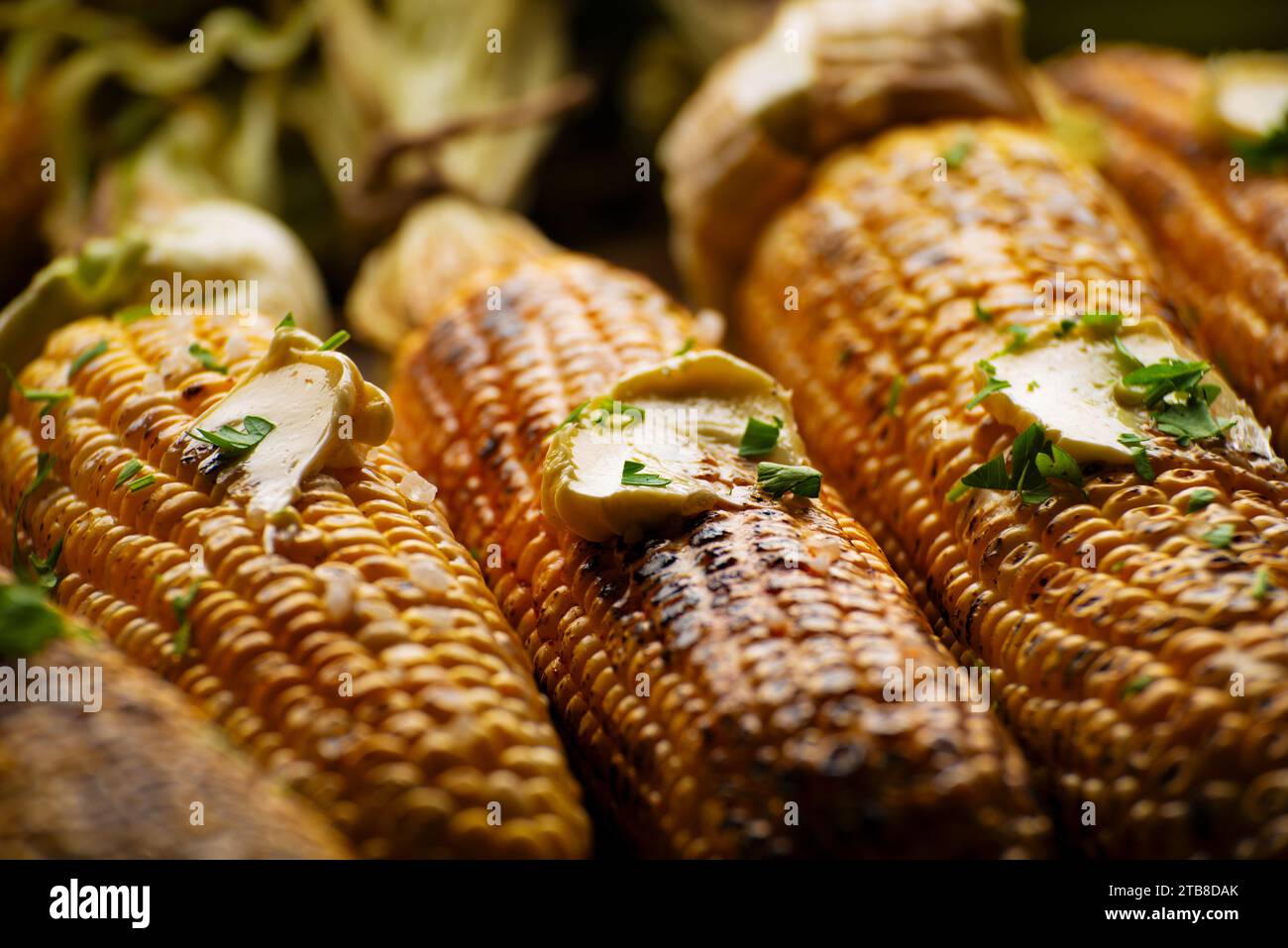 Grilled sweet corn cobs with butter seasoned with cilantro closeup low angle view Stock Photo