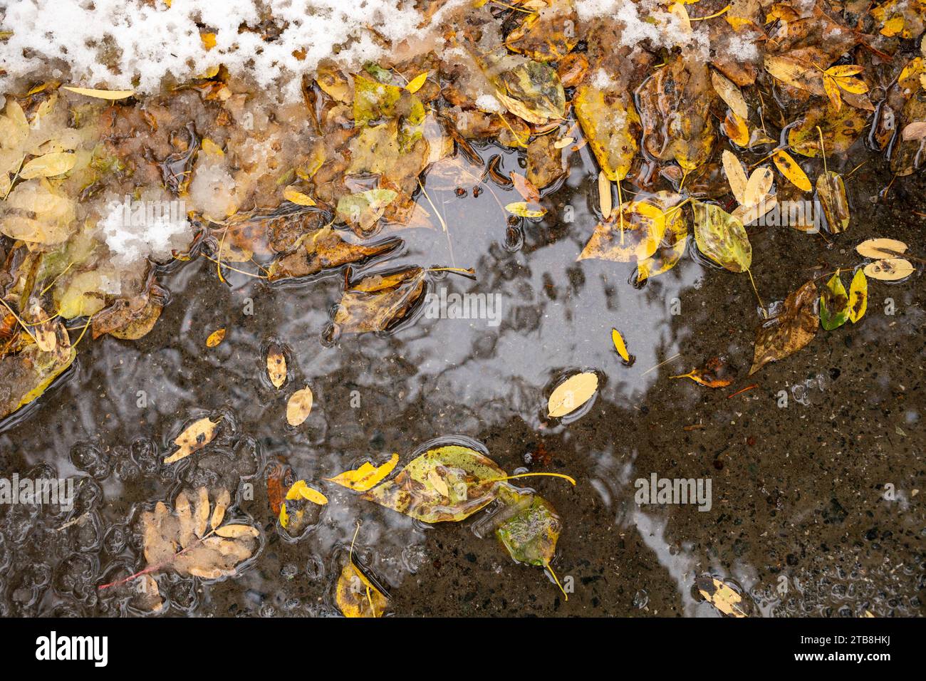 Puddle ground top view hi-res stock photography and images - Alamy
