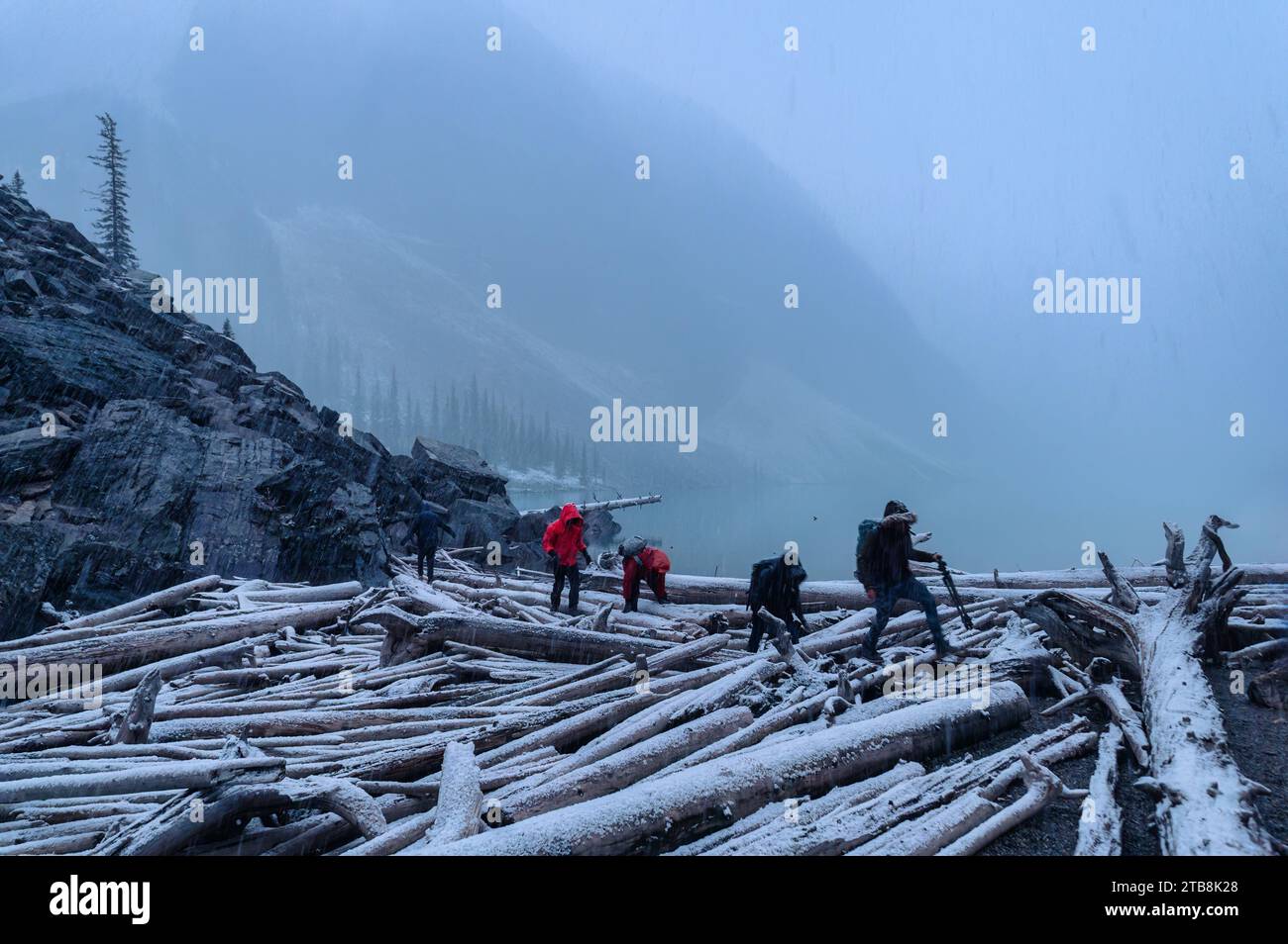 Man walking on log in hi-res stock photography and images - Alamy