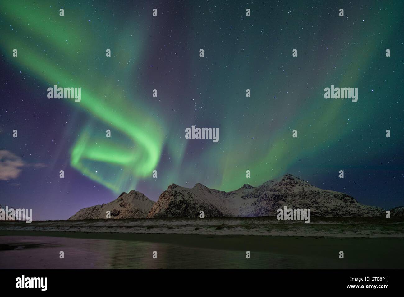 Green and red northern lights over snow-capped mountains in Lofoten are ...