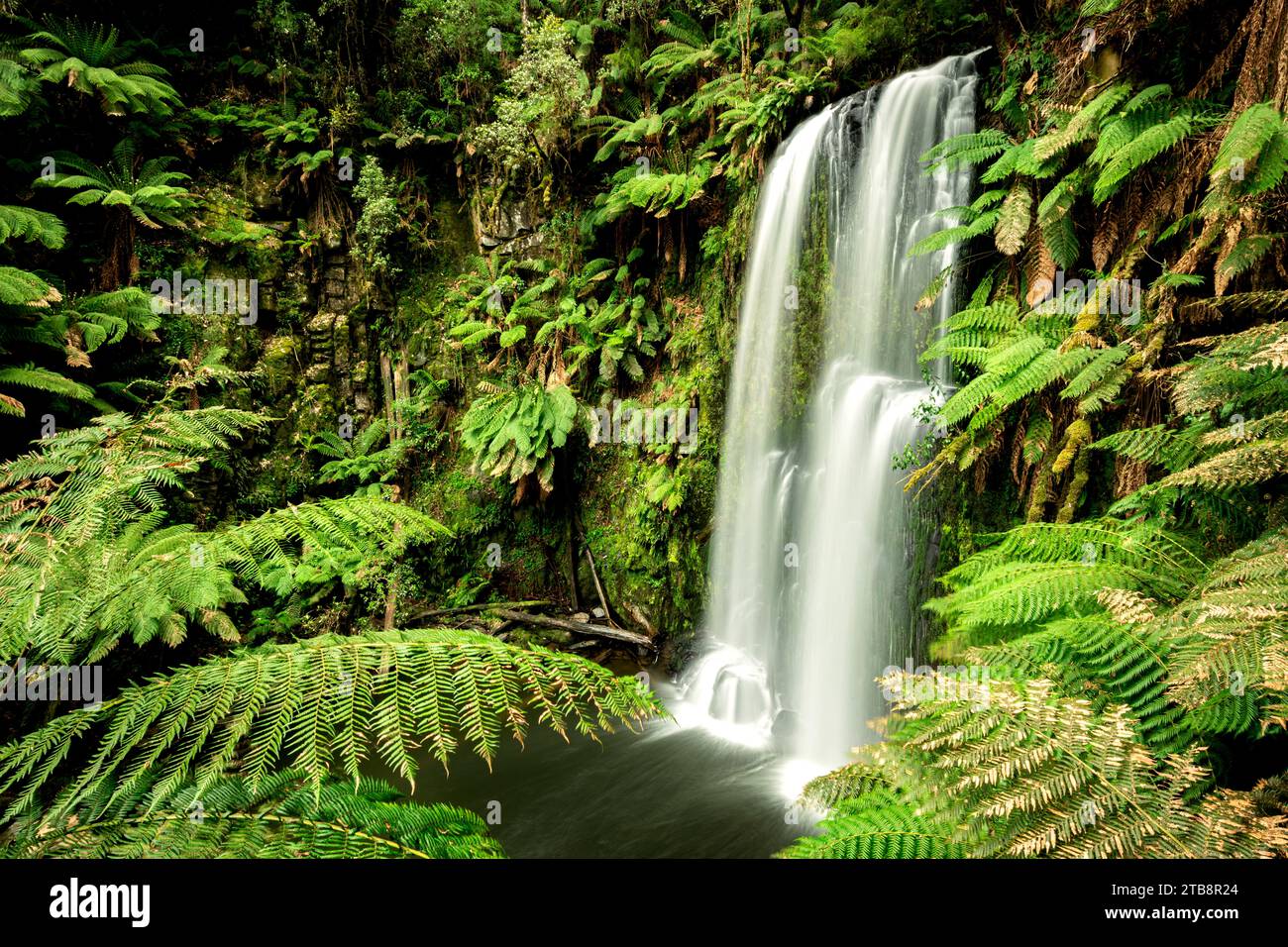 Beauchamp Falls are well hidden in the rainforest of Great Otway National Park. Stock Photo