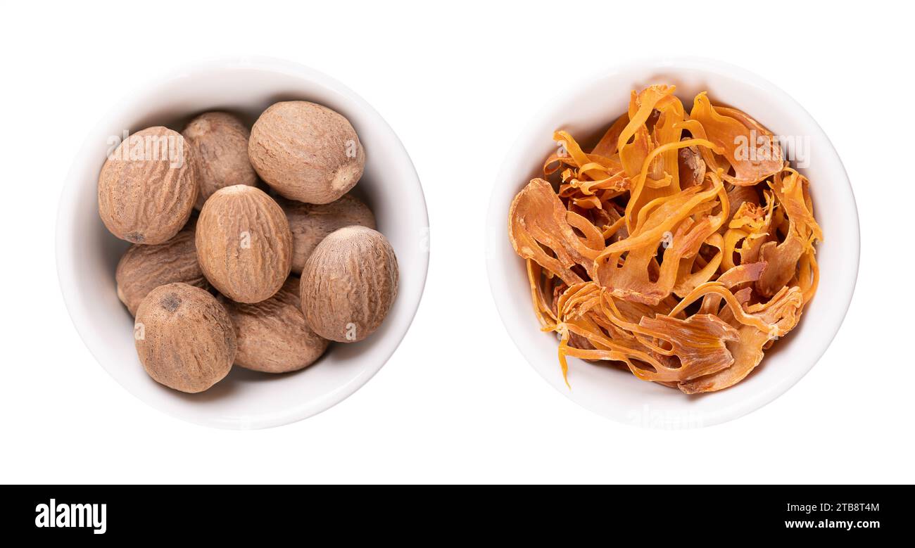 Dried true nutmegs and mace in white bowls. Whole seeds of Myristica fragrans, and the seed coverings of nutmeg seeds with yellow and orange tan. Stock Photo