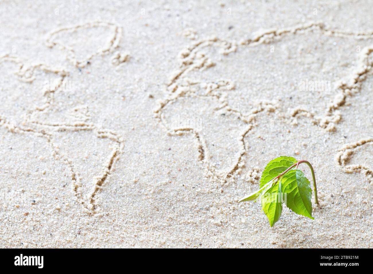 World map on sand, wilting plant, climate change, environment crisis global warming concept Stock Photo