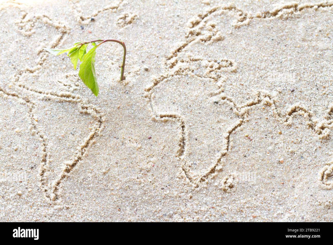 World map on sand, wilting plant, climate change, environment crisis global warming concept Stock Photo