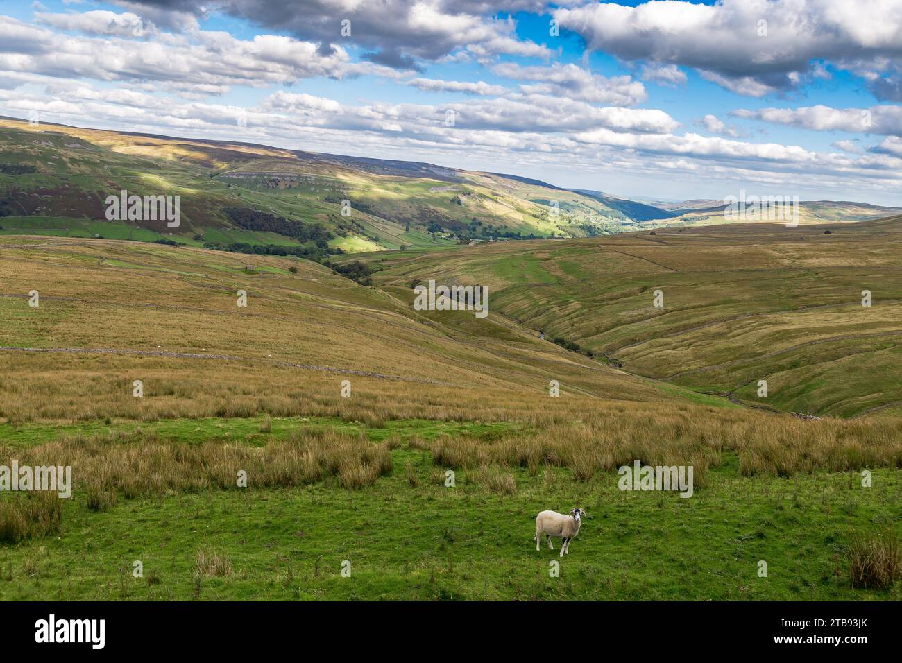 Yorkshire Dales landscape at the Buttertubs Pass (Cliff Gate Road) between Thwaite and Simonstone, North Yorkshire, England, UK Stock Photo