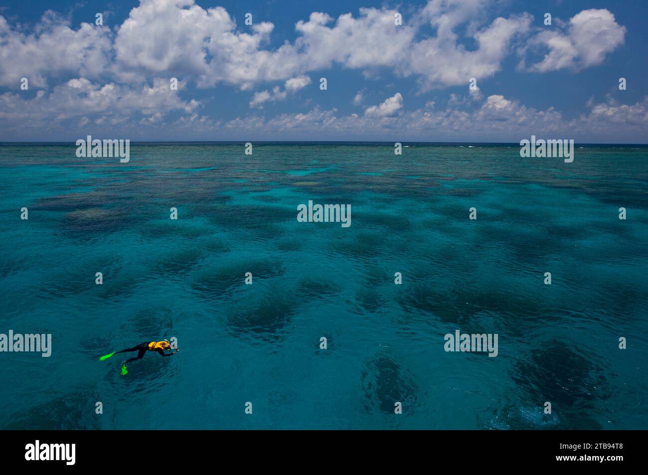 Lone snorkeler on the water at the Great Barrier Reef; Great Barrier Reef, Australia Stock Photo