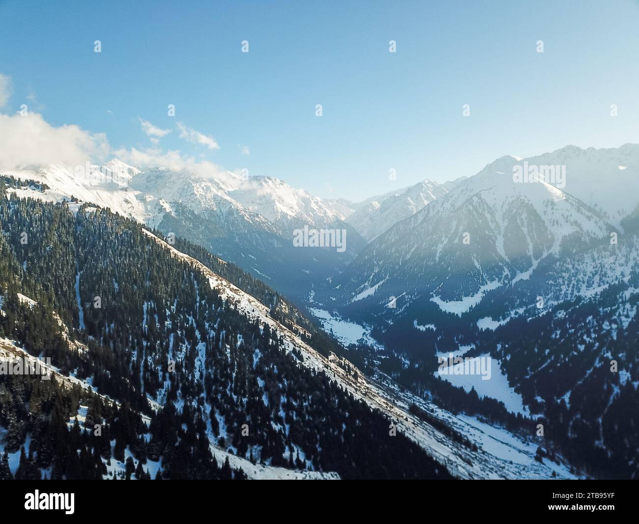Aerial view of snowy mountains with fir trees Stock Photo - Alamy