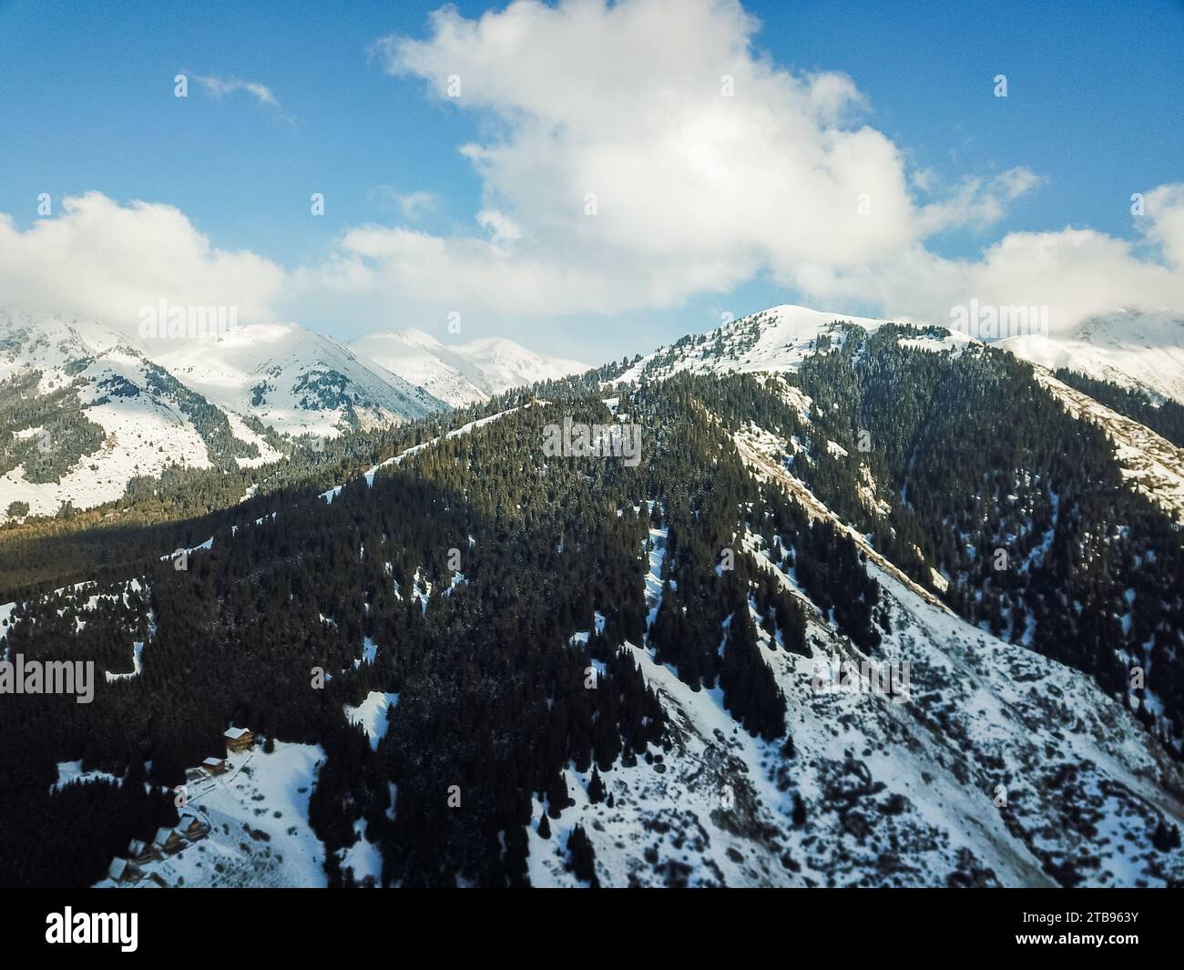 Aerial view of snowy mountains with fir trees Stock Photo - Alamy