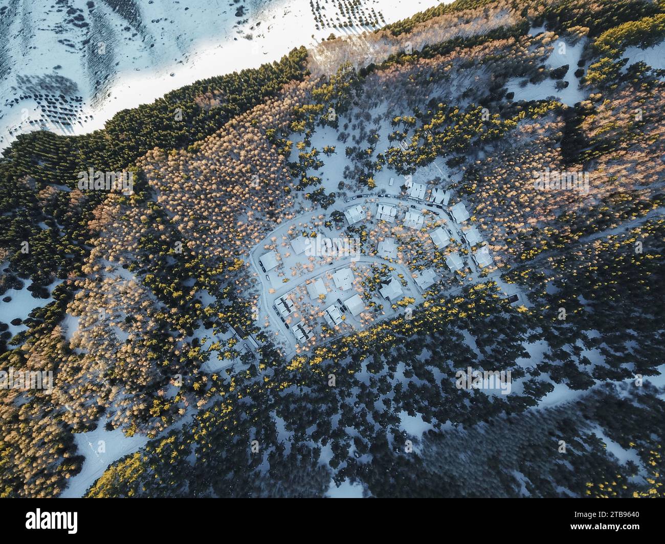Aerial view of snowy mountains with fir trees Stock Photo - Alamy