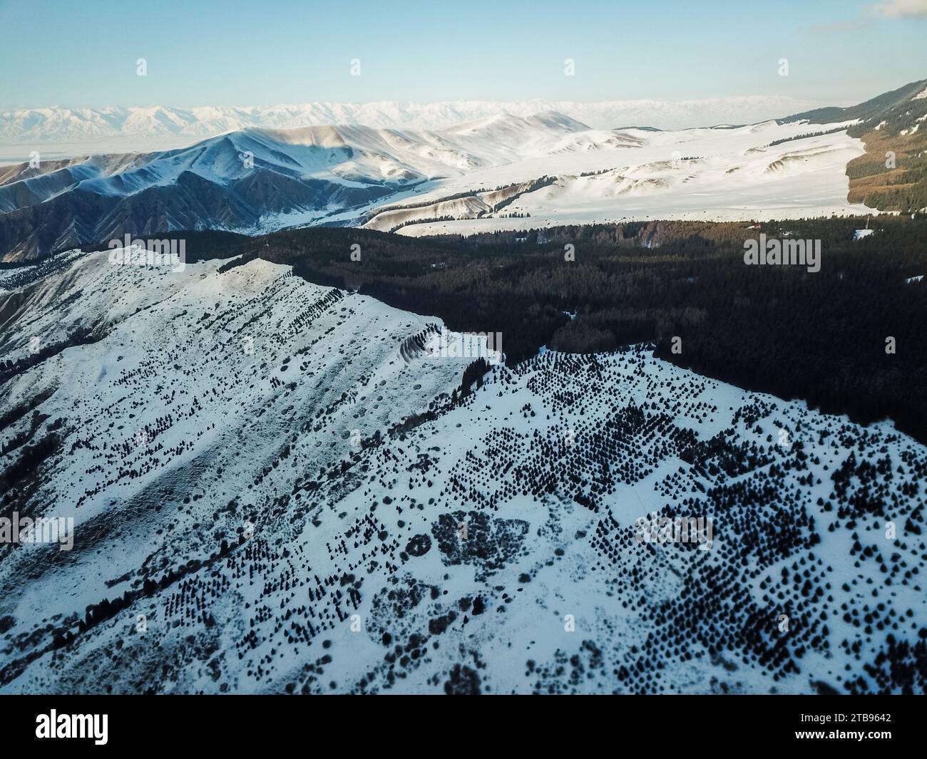 Aerial view of snowy mountains with fir trees Stock Photo - Alamy