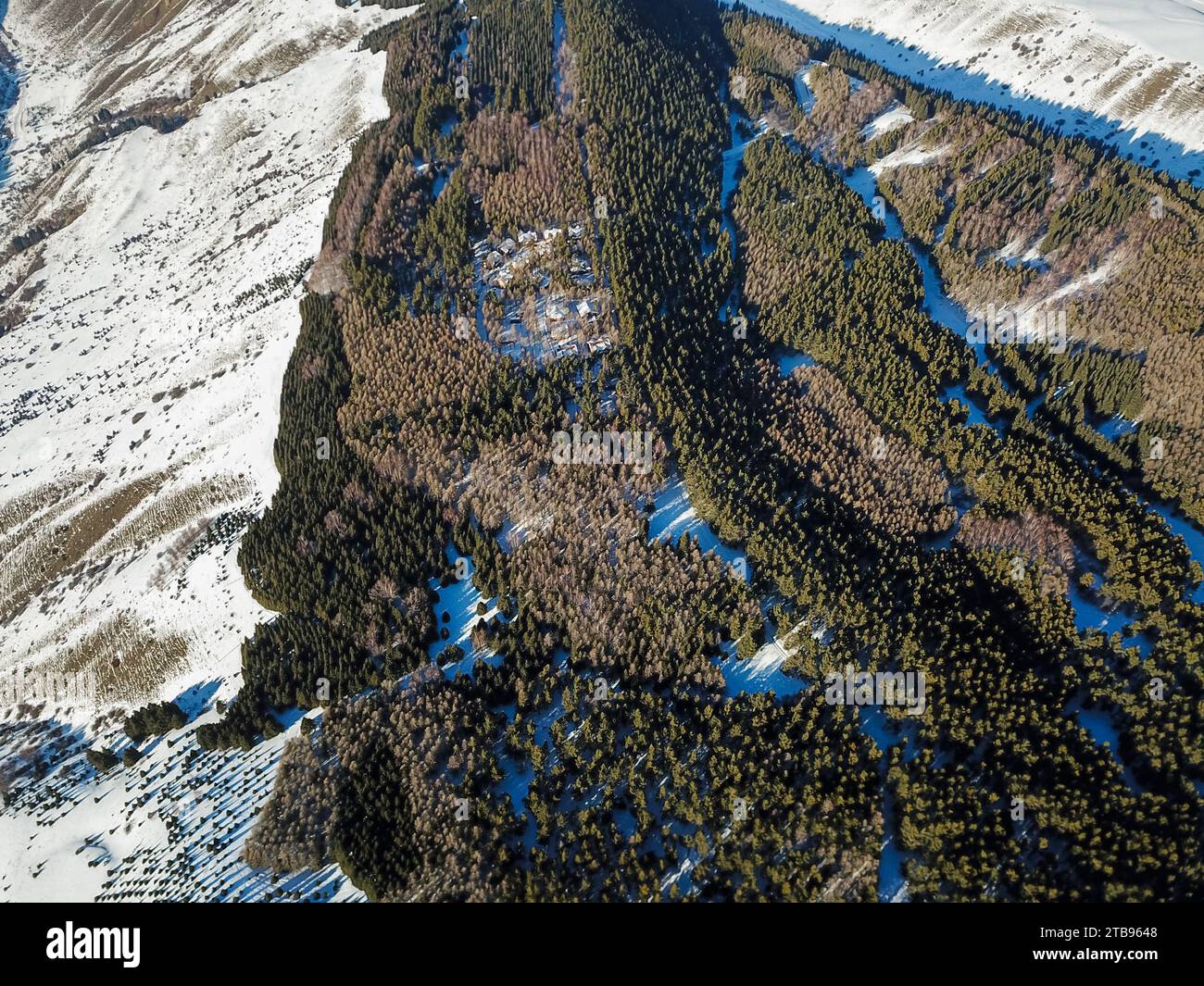 Aerial view of snowy mountains with fir trees Stock Photo - Alamy