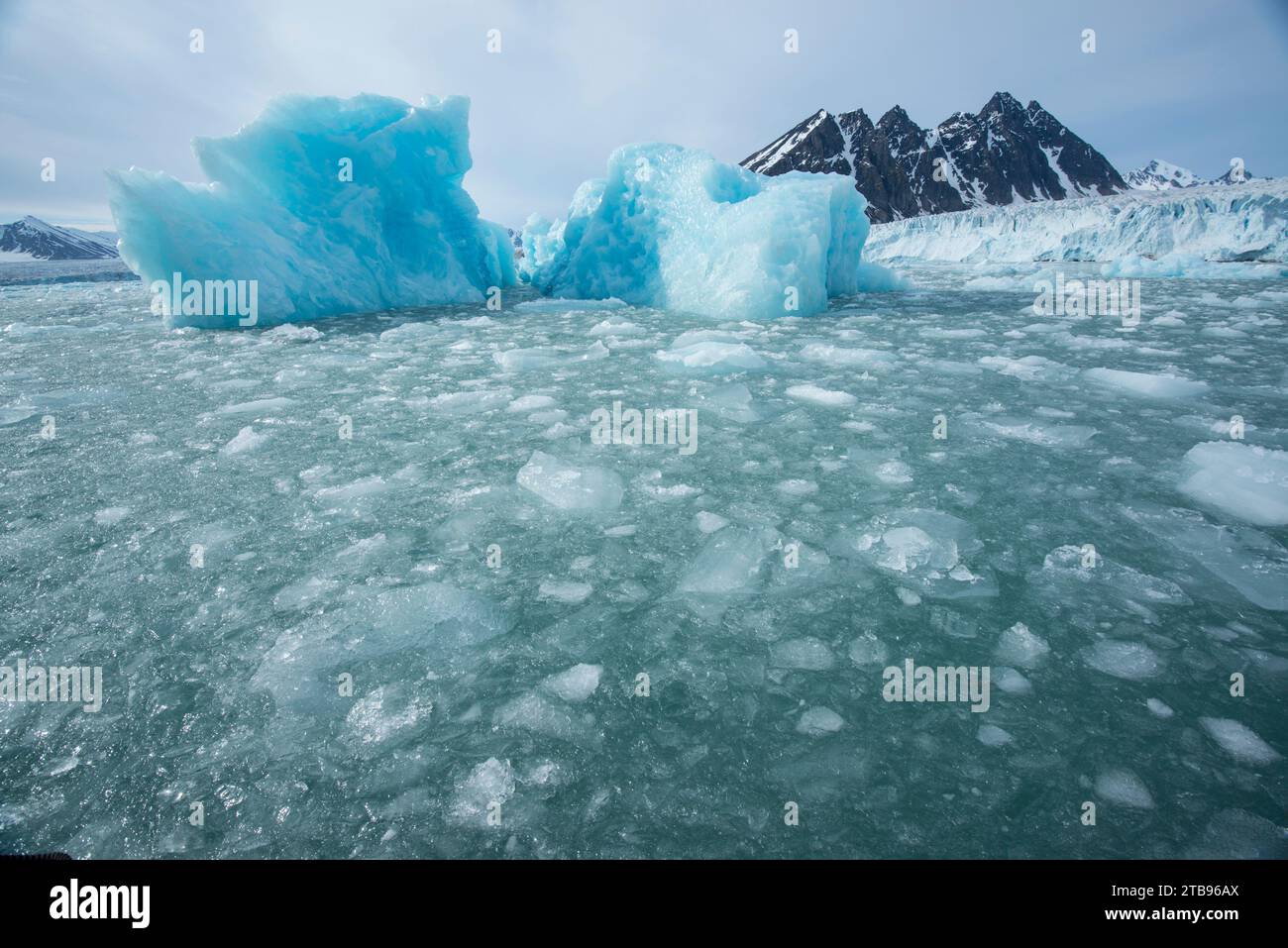Pack ice off the cliff of the Monacobreen Glacier Stock Photo - Alamy