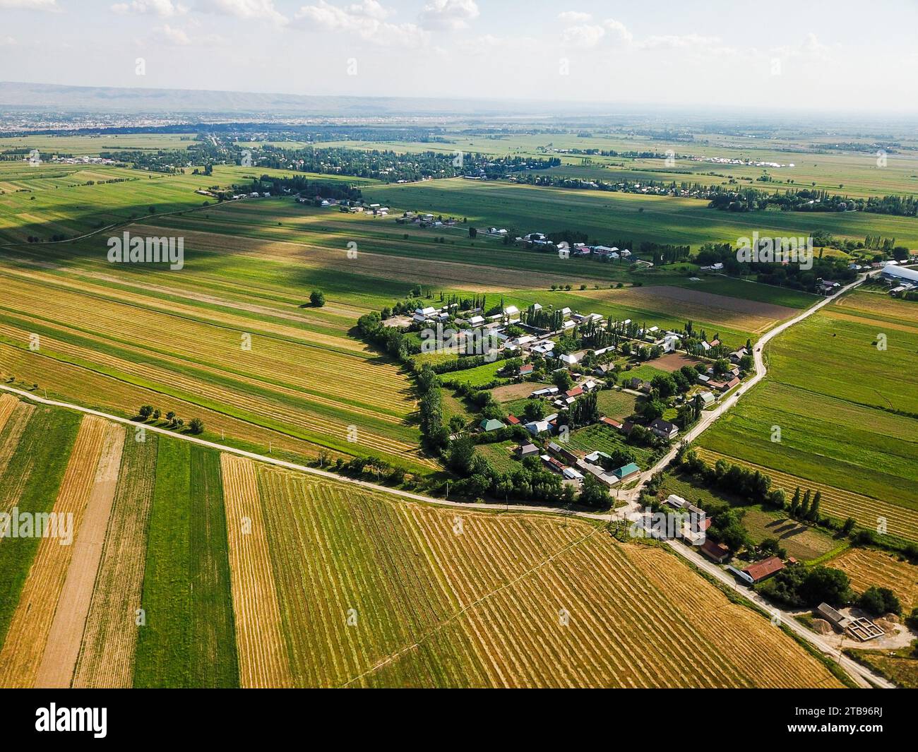Aerial view of green agricultural fields Stock Photo - Alamy