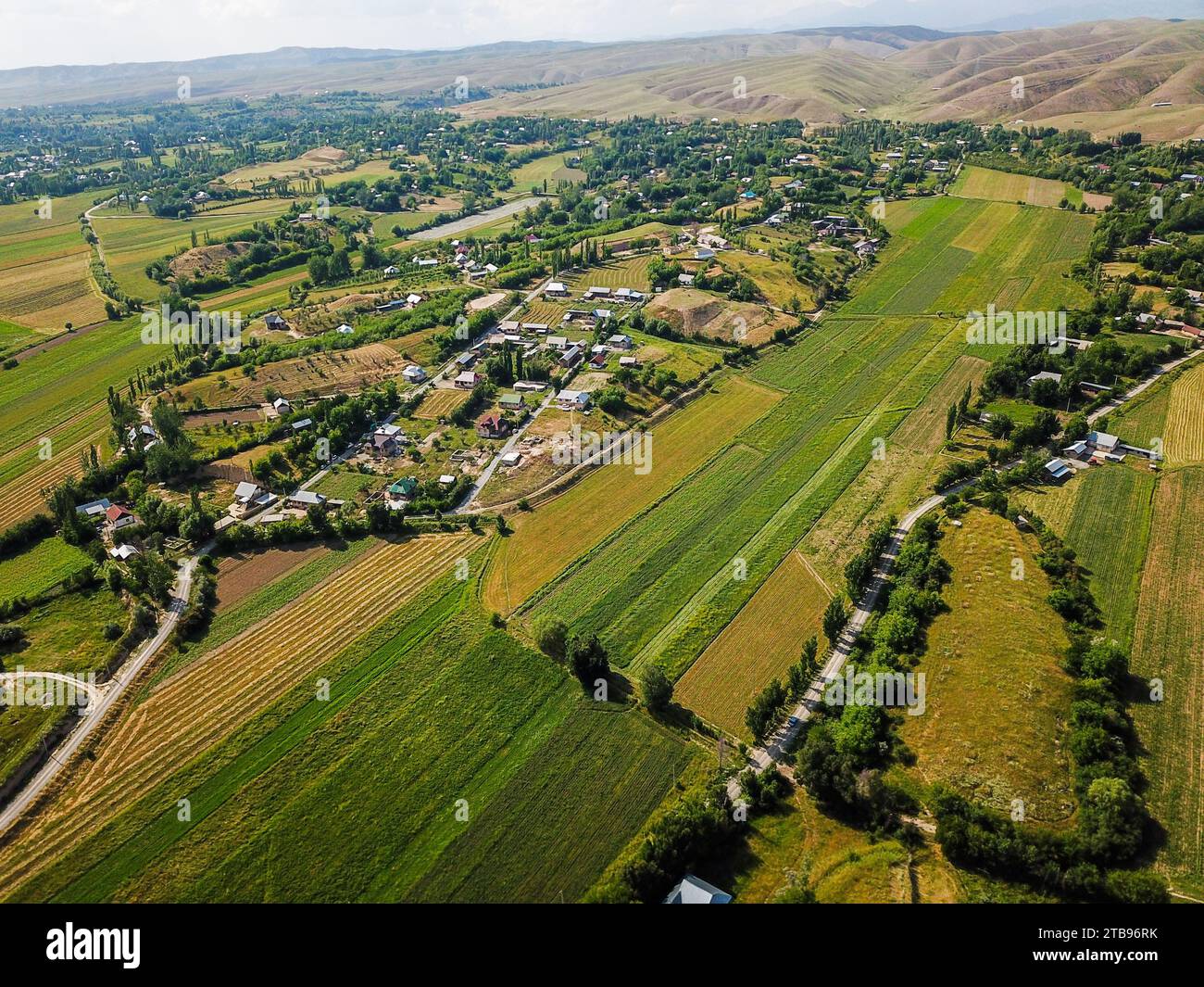 Aerial view of green agricultural fields Stock Photo - Alamy