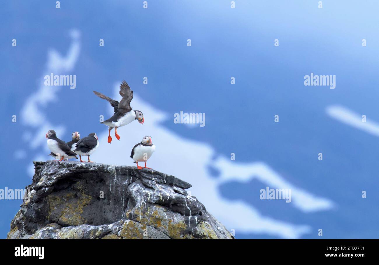 Isafjordur bay hi-res stock photography and images - Alamy