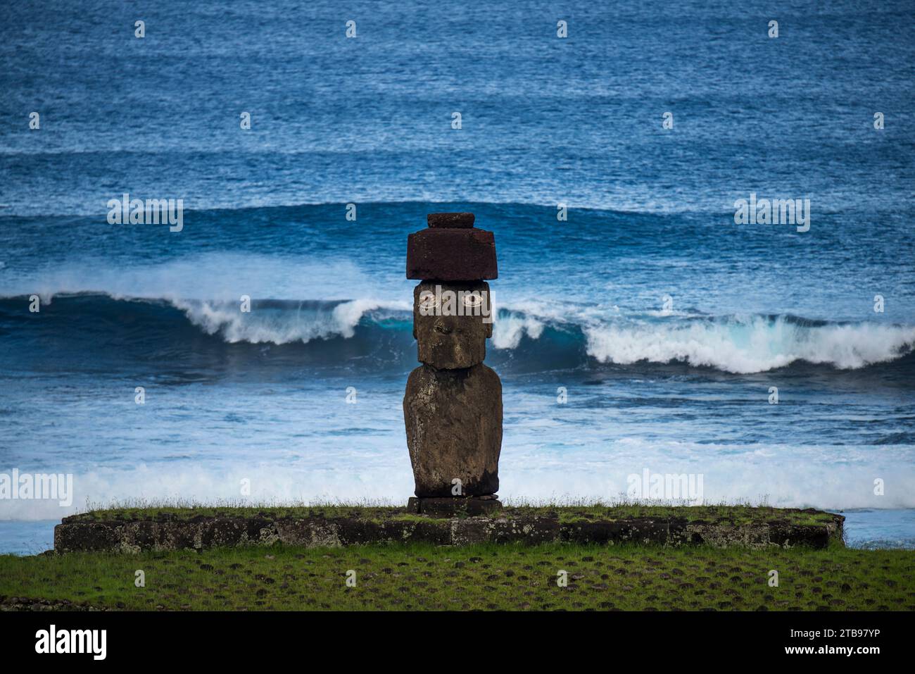 Ahu Ko Te Riku Moai stands facing inland at the Tahai Ceremonial ...