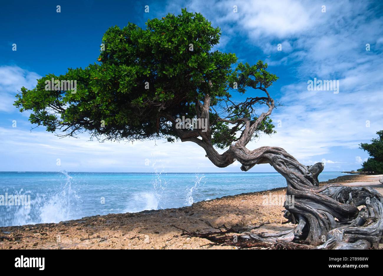 Gnarly waves hi-res stock photography and images - Alamy