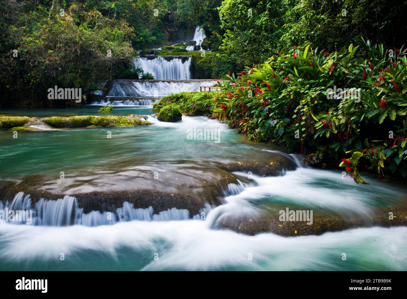 YS Falls, a 7 tiered cascading waterfall on Jamaica's south coast; Jamaica, West Indies Stock Photo