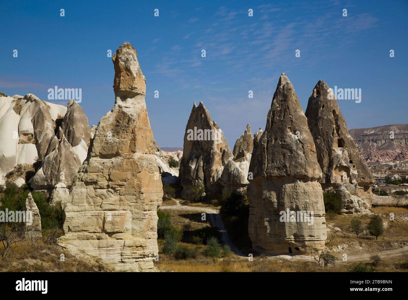 Cave Houses carved into the volcanic rock formations, Fairy Chimneys, against a bright blue sky near the town of Goreme in Pigeon Valley, Cappadoci... Stock Photo