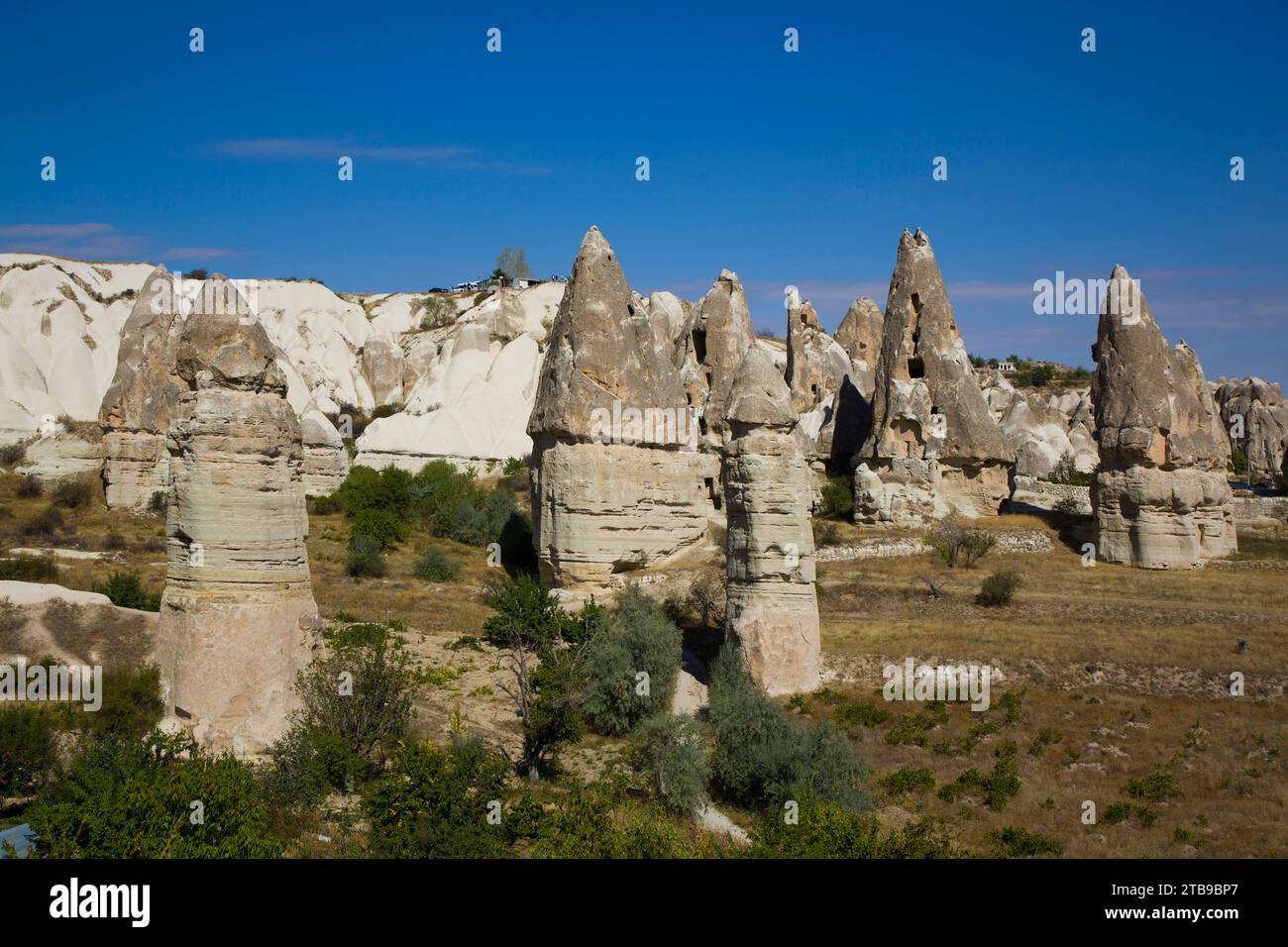 Cave Houses carved into the volcanic rock formations, Fairy Chimneys, against a bright blue sky near the Town of Goreme in Pigeon Valley, Cappadoci... Stock Photo