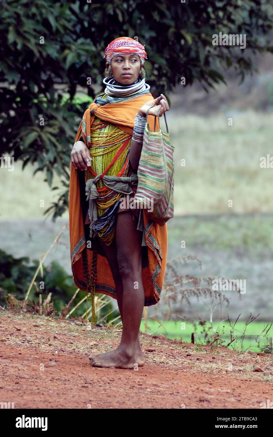 The Bonda, also known as Remo, are a Munda ethnic group who live in the isolated hill regions of the Malkangiri district of southwestern Odisha, near the junction of the three states of Odisha, Chhattisgarh, and Andhra Pradesh. The tribe is one of the oldest and most primitive in mainland India; their culture has changed little for more than a thousand years. They are one of the 75 Primitive Tribal Groups identified by the Government of India. Stock Photo
