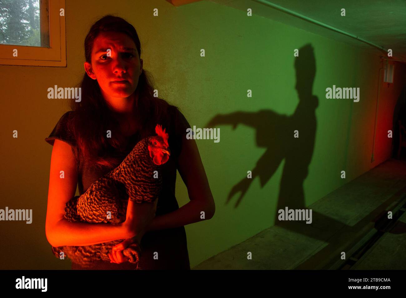 Staged horror scene with a young woman and a chicken; Lincoln, Nebraska, United States of America Stock Photo