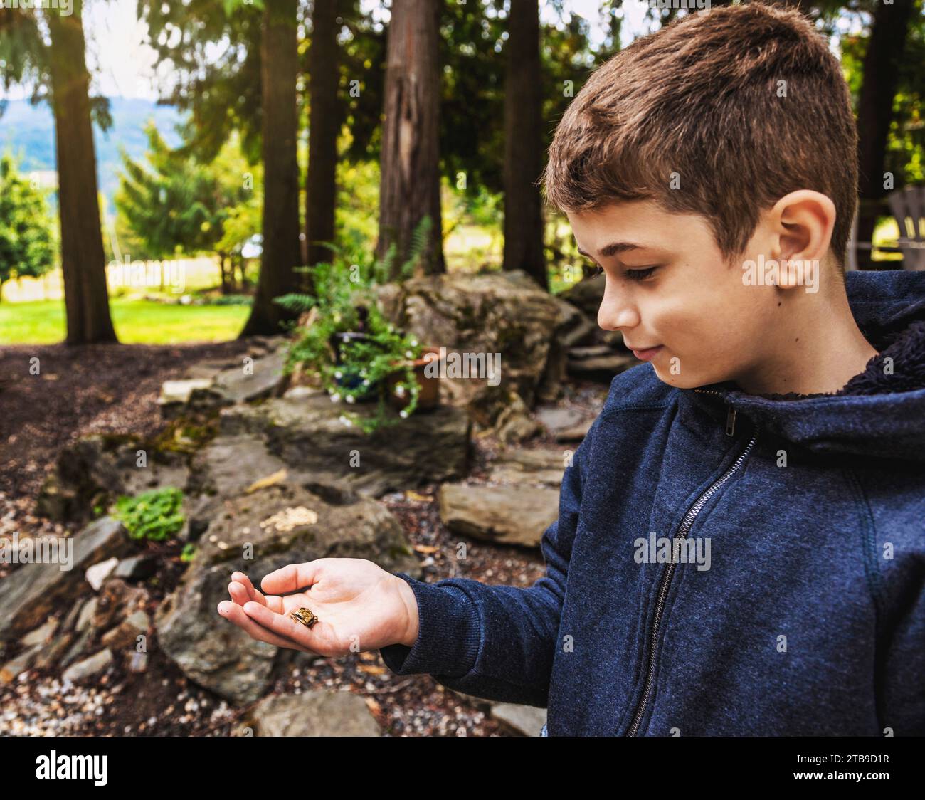 Close-up portrait of a young boy holding a small frog in his hand while on vacation; Sicamous, British Columbia, Canada Stock Photo