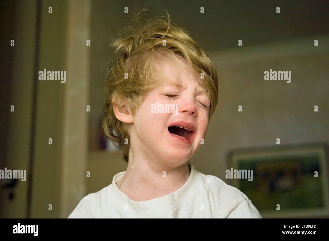 Portrait of a 4-year-old boy crying at his home; Lincoln, Nebraska, United States of America Stock Photo