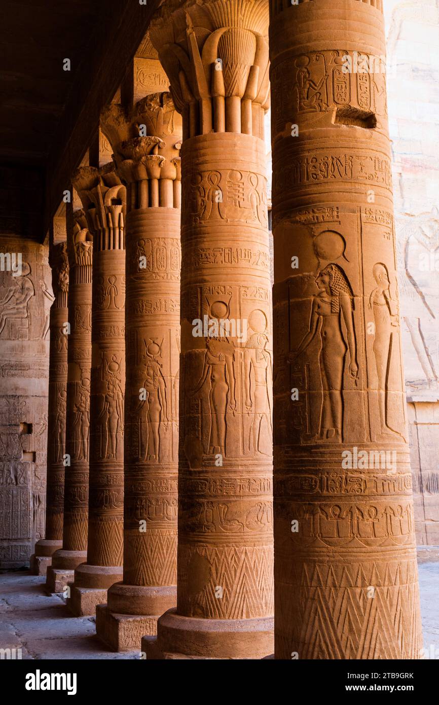 Close-up of a row of columns with ancient Egyptian Hieroglyphic details at the Philae Temple; Aswan, Egypt, Africa Stock Photo