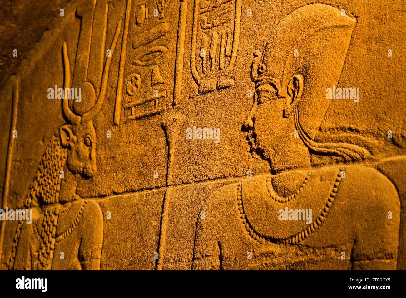 Close-up of bas-relief of hieroglyphs and mythology on the walls inside the Temple of Isis at Philae Island on the Nile River with golden light Stock Photo