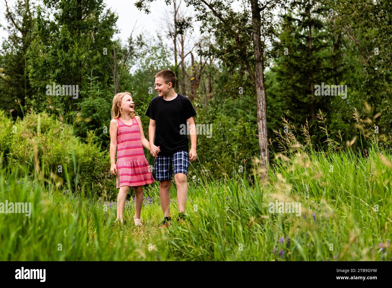 Young brother and sister holding hands walking through a forest ...