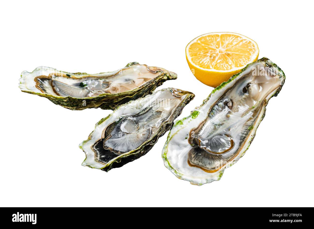 Seafood Brassiere, open Oysters with lemon. Isolated, white