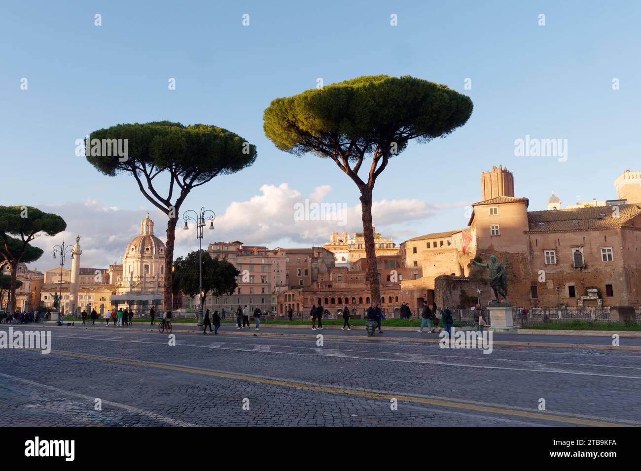 Street lined with Stone Pines and historic buildings behing bathed in autumn evening light in the city of Rome, Lazio Region, Italy, December 05, 2023 Stock Photo
