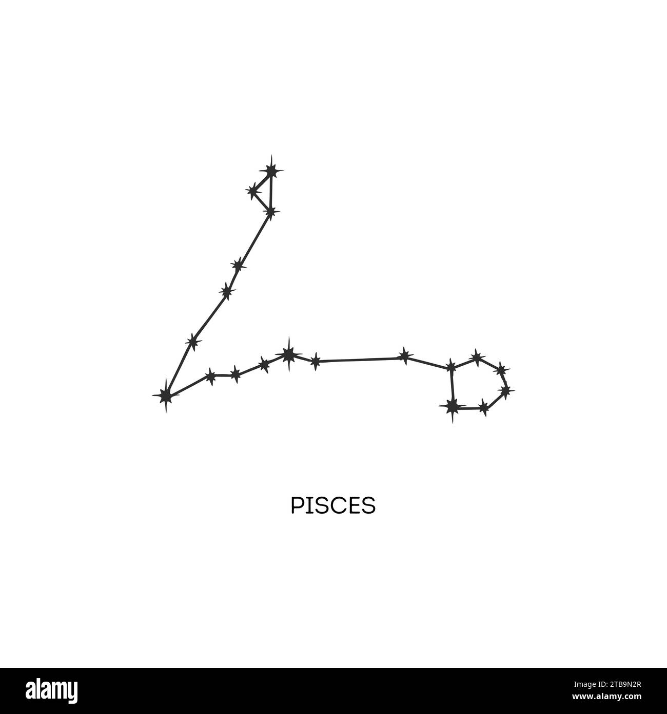 Pisces constellation vector illustration Stock Vector