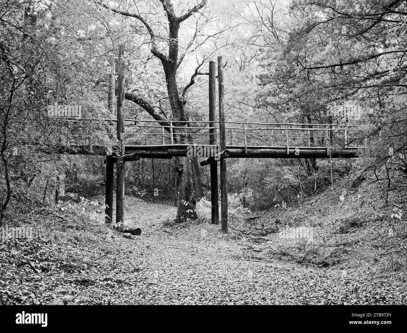 Old Bridge in the Woods over a dry stream bed Stock Photo Alamy