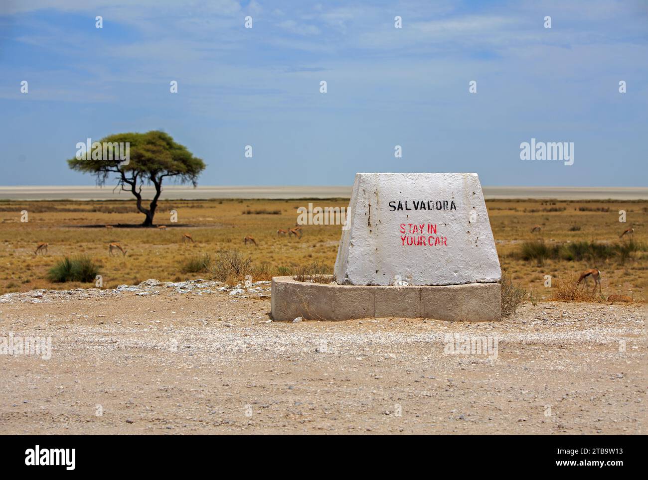 Etosha Pan, Namibia . A signpost at Salvadora Waterhole, telling visitors to stay in their car. It is a wild area, and some poeple treat it like a zoo Stock Photo