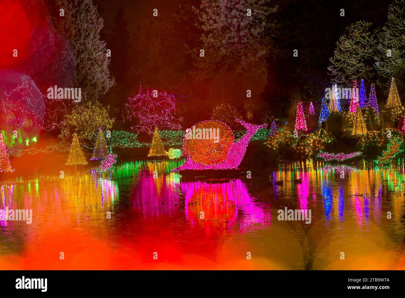 Vandusen Botanical Garden Festival Of Lights 2025r 2025 Orsa Christin
