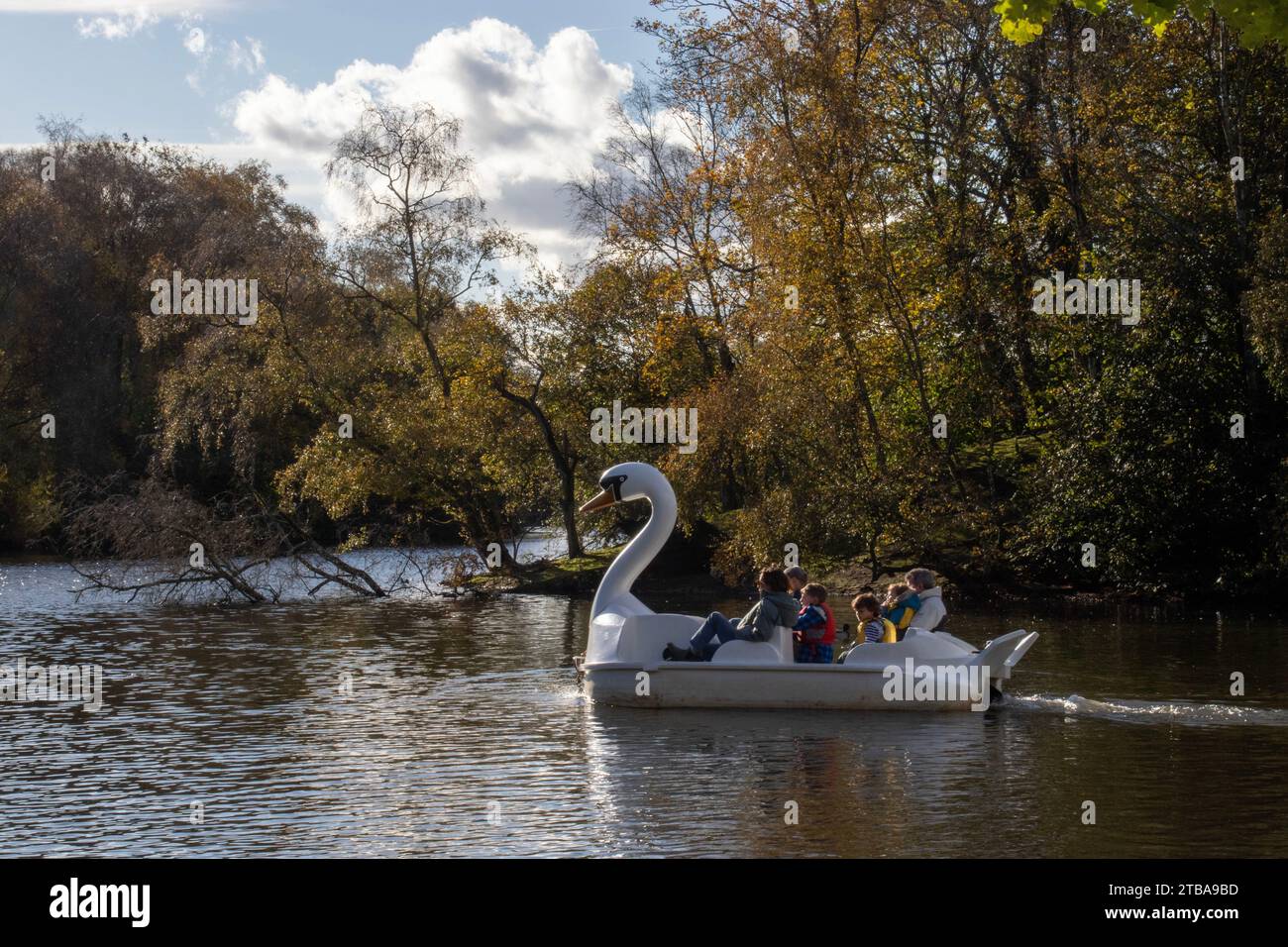 Swan Pedalo on Heaton Park Lake, Manchester 1 Stock Photo